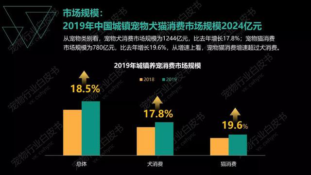 银行业吸纳就业能力不减 2024届校招规模与去年基本持平