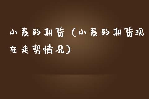 （2023年11月3日）今日小麦期货和美小麦价格行情查询