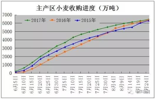 （2024年6月11日）今日小麦期货和美小麦价格行情查询