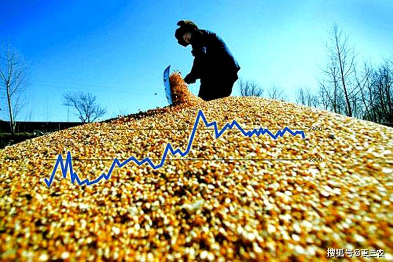 地缘风险溢价持续上升 短期油价震荡偏强运行