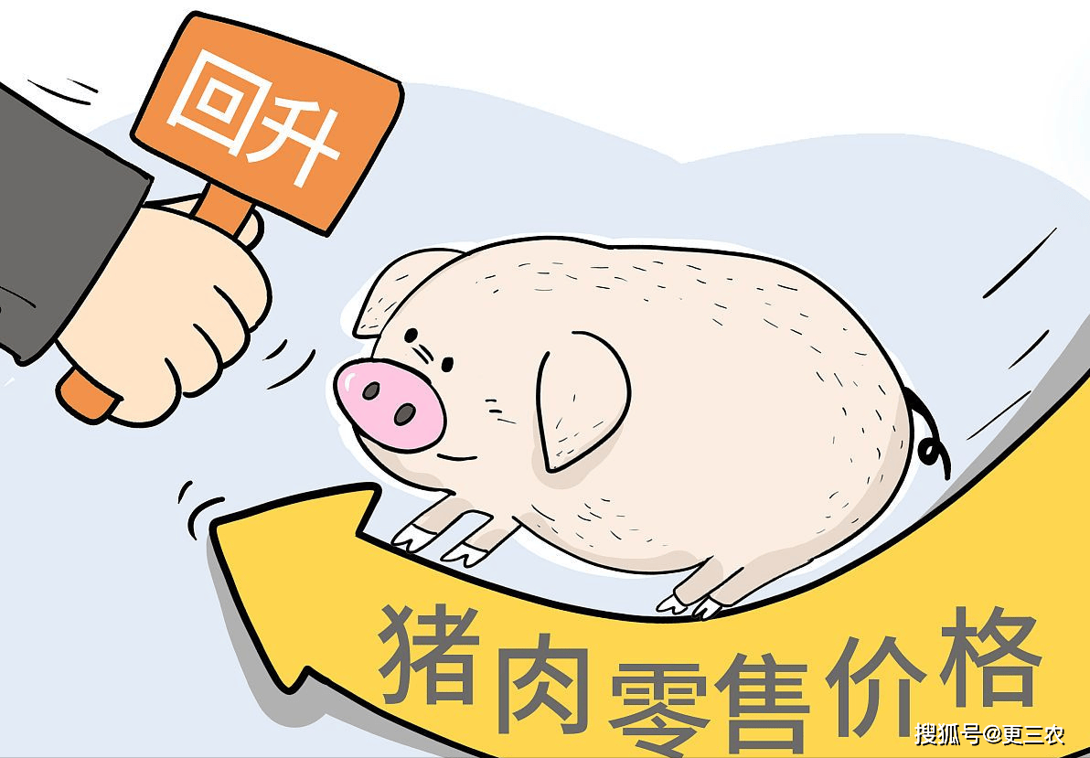 8月5日收盘原油期货持仓较上日增持6908手