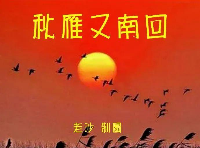 原油期货9月9日主力小幅下跌1.76% 收报512.6元