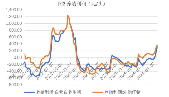 （2024年9月25日）今日美小麦期货最新价格行情查询