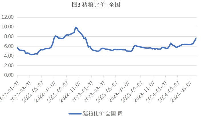 （2024年10月7日）今日美小麦期货最新价格行情查询