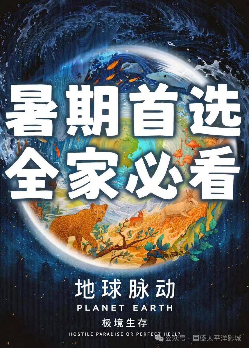 （2024年10月18日）今日美燕麦期货最新价格行情