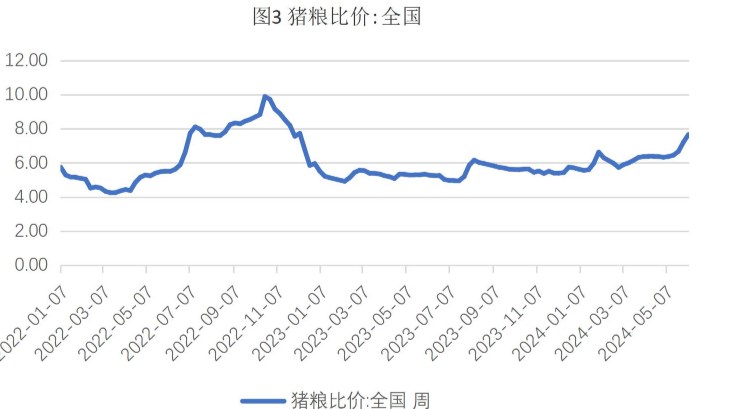 （2024年10月25日）今日小麦期货和美小麦价格行情查询