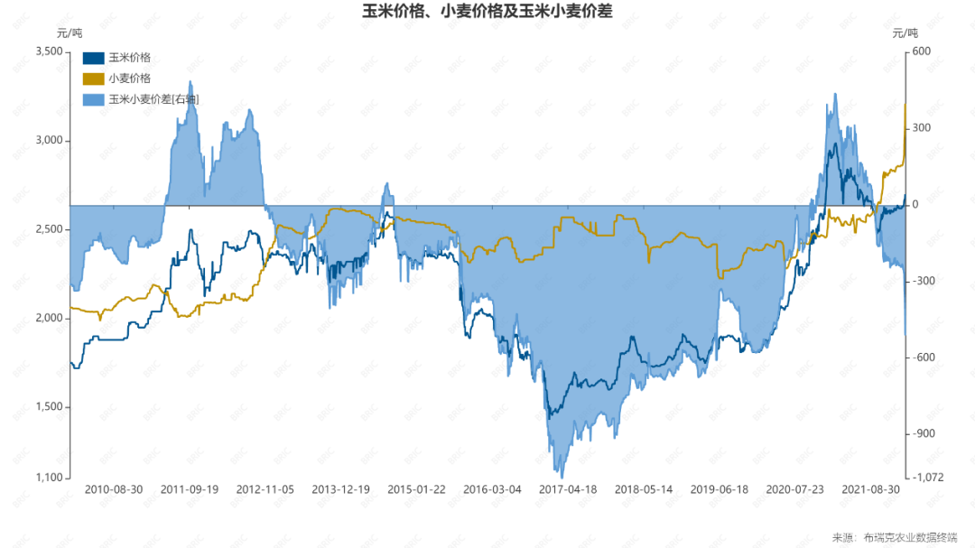 （2024年11月25日）今日美小麦期货最新价格行情查询