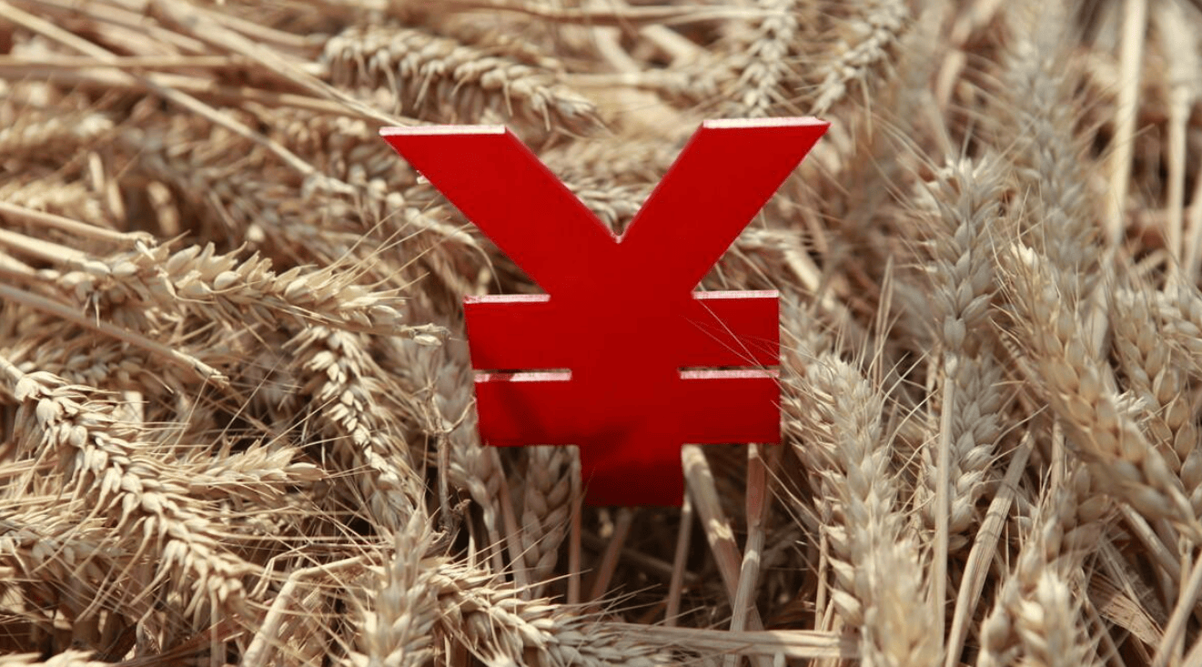 （2024年11月29日）今日美小麦期货最新价格行情查询