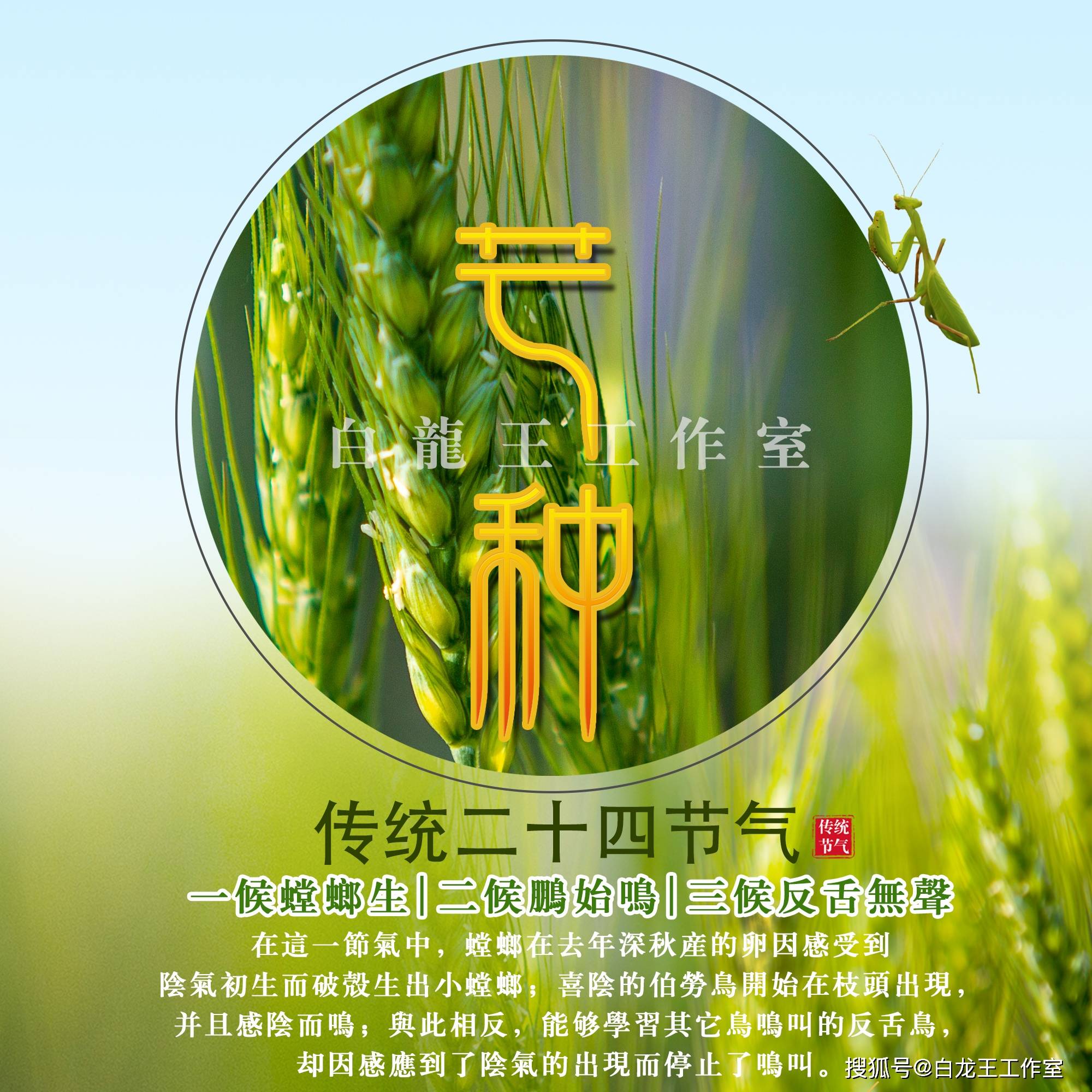 （2024年12月17日）今日美燕麦期货最新价格行情