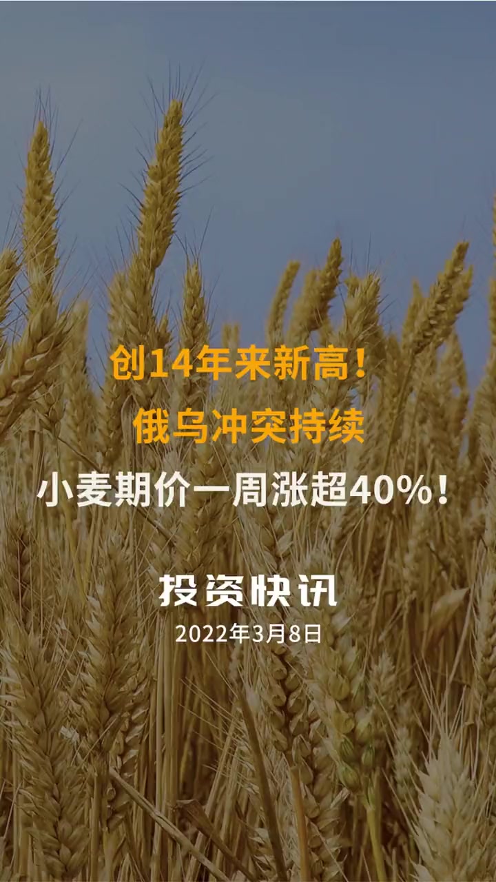 （2024年12月26日）今日小麦期货和美小麦价格行情查询