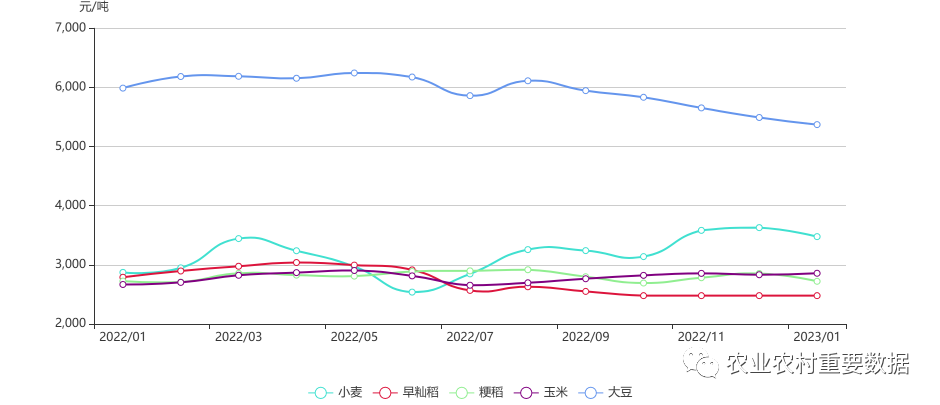 （2025年1月2日）今日美小麦期货最新价格行情查询