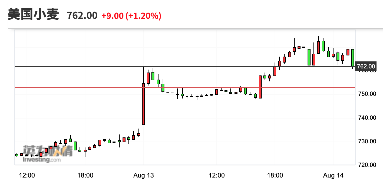 （2025年1月20日）今日美小麦期货最新价格行情查询