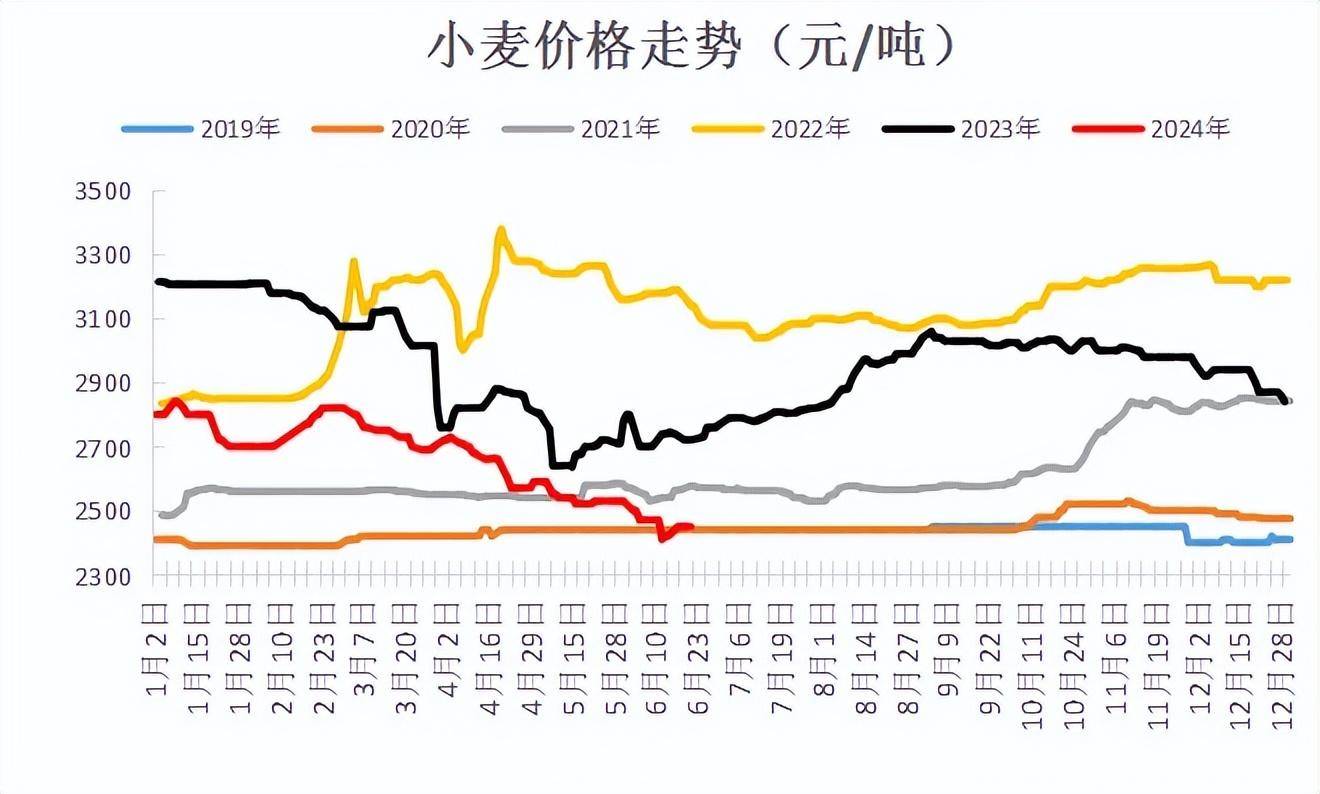 （2025年2月6日）今日小麦期货和美小麦价格行情查询