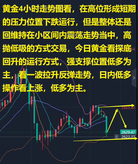市场面临诸多不确定性 原油短期维持高波动运行