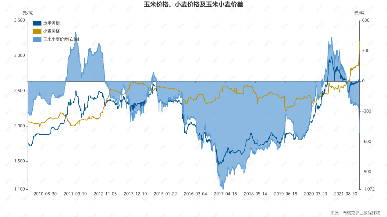 （2025年2月11日）今日小麦期货和美小麦价格行情查询