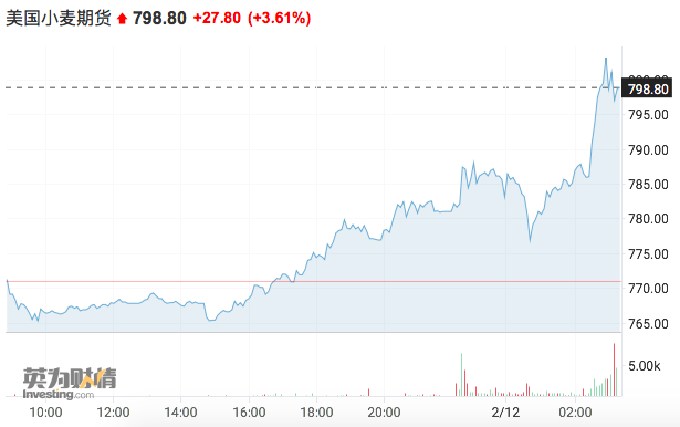 （2025年2月18日）今日美小麦期货最新价格行情查询