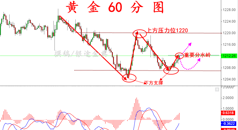 原油期货3月13日主力小幅上涨1.10% 收报523.0元
