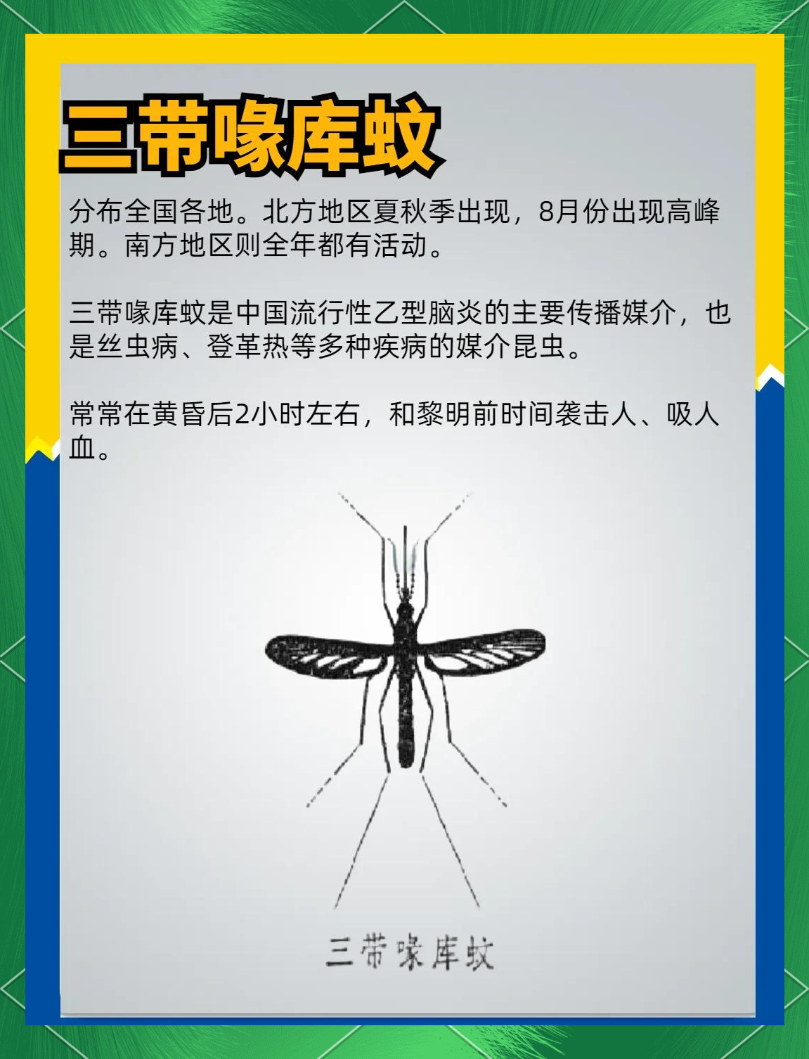 唠“科”话丨为啥蚊子总叮你?“招蚊”跟血型相关?