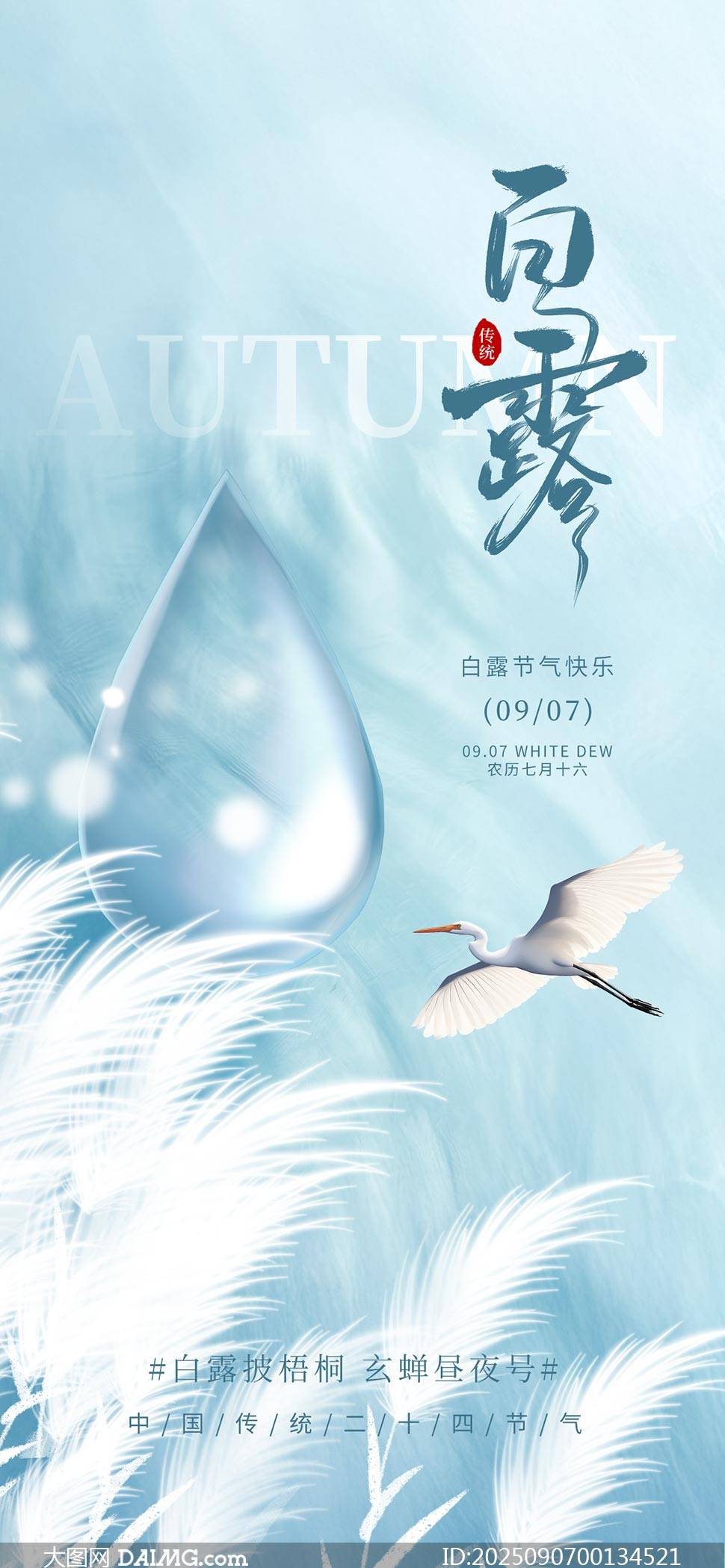 节气物候图鉴：白露至凉意生 全国玉露生凉地图看哪里率先迎秋凉